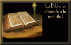 biblia8of